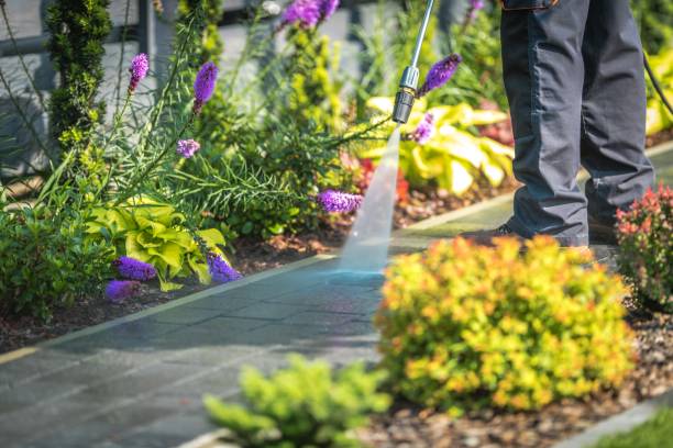 Best Gutter Cleaning  in Spring Hill, KS
