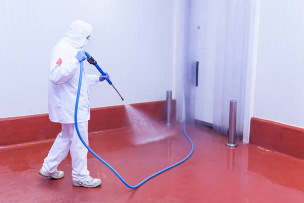 Best Warehouse Cleaning  in Spring Hill, KS