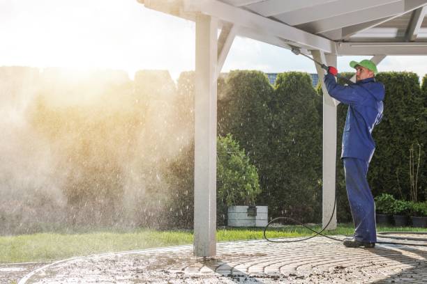 Best Pre-Holiday Cleaning  in Spring Hill, KS