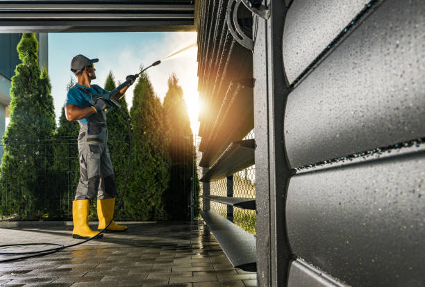 Best Roof Washing  in Spring Hill, KS